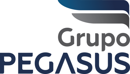 Grupo Pegasus